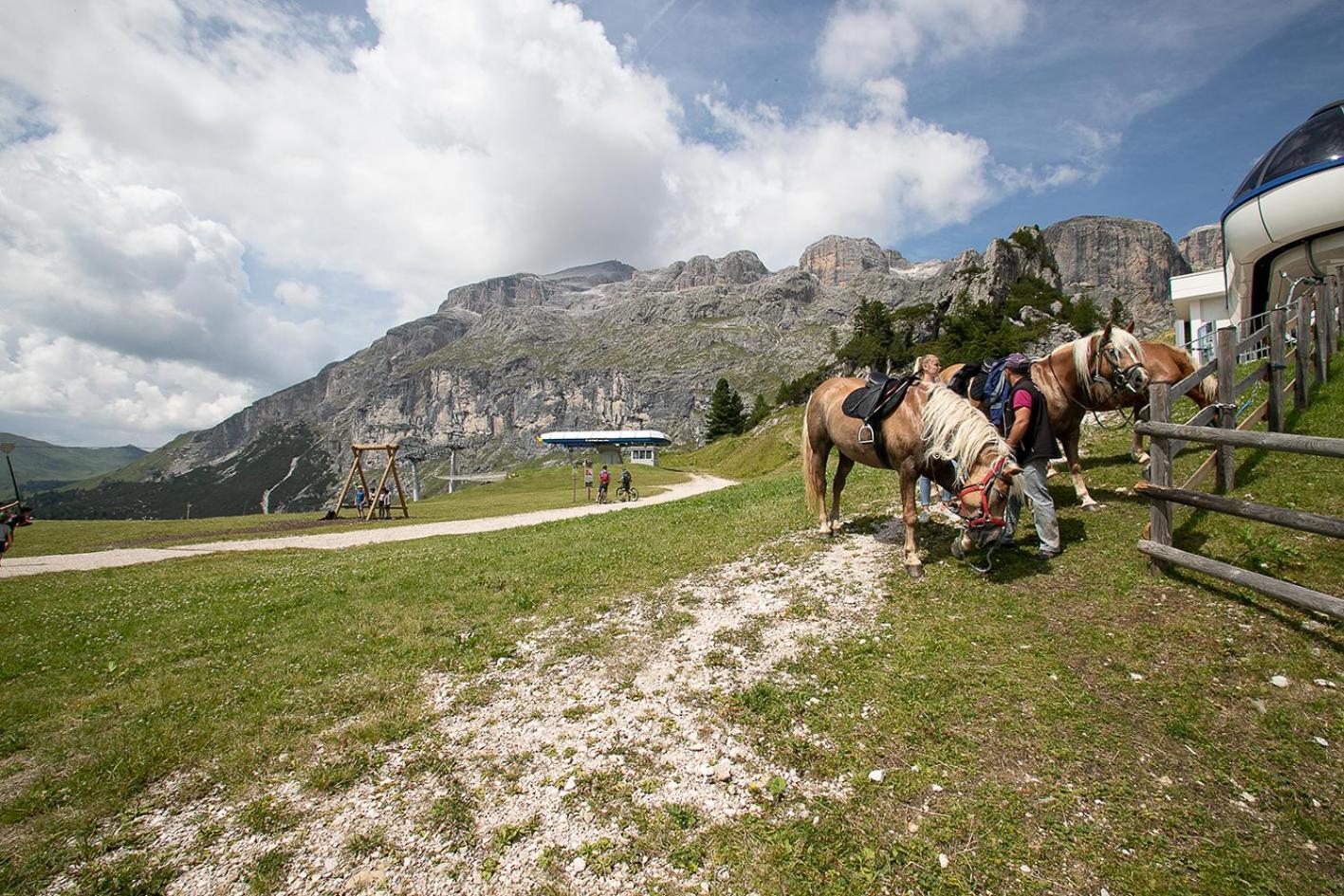 Hotel Alpenrose Arabba Exteriör bild